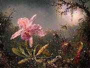 Cattleya Orchid and Three Brazilian Hummingbirds Martin Johnson Heade